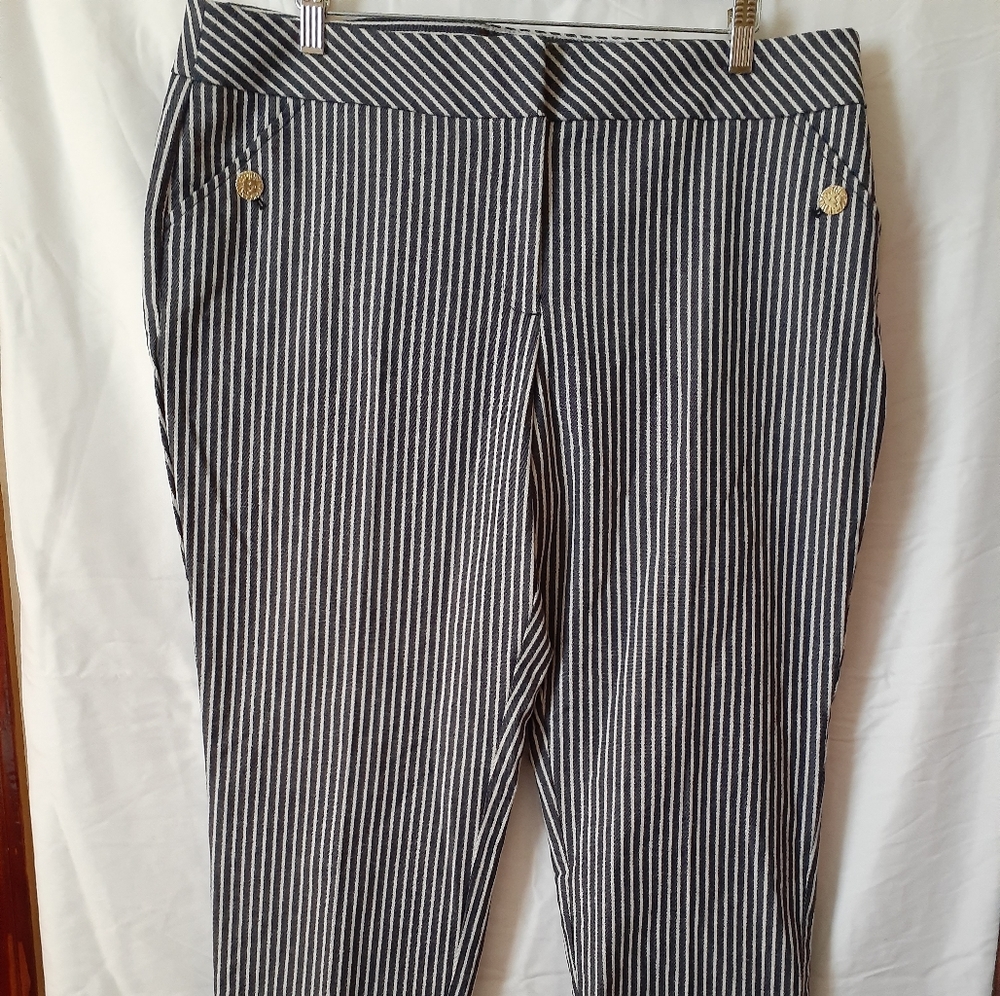 Anne Klein blue & white striped slim ankle pants